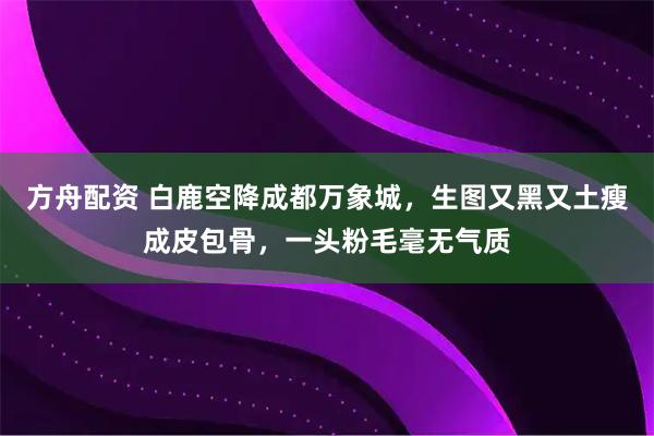 方舟配资 白鹿空降成都万象城，生图又黑又土瘦成皮包骨，一头粉毛毫无气质