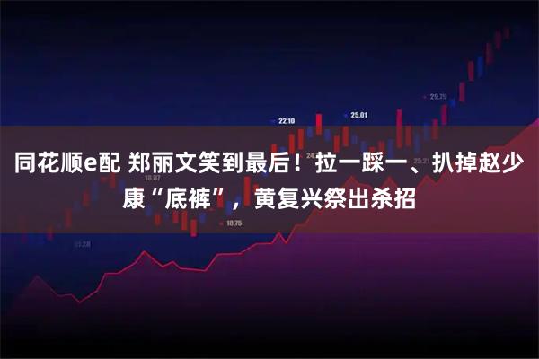 同花顺e配 郑丽文笑到最后！拉一踩一、扒掉赵少康“底裤”，黄复兴祭出杀招